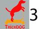 2. österr. Trickdog-Competition - Rang 2 Anfänger