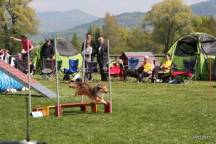 IMG 09946-1