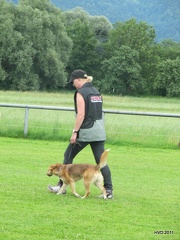 IMG 4104