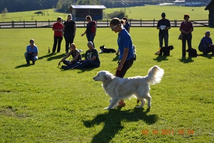 BGH SM2011 69