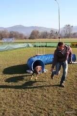 IMG 2741