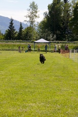 hunderennen 053
