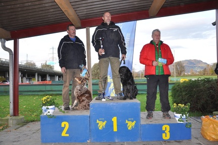 vm2013 0439