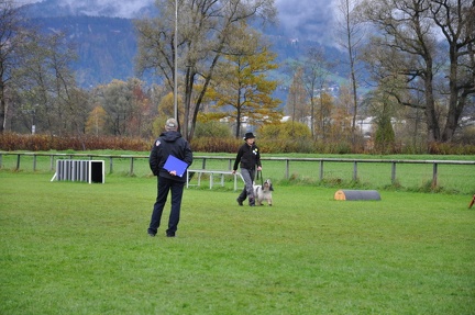 vm2013 0211