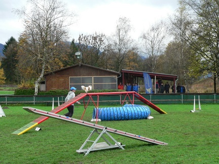 vm2013 0236