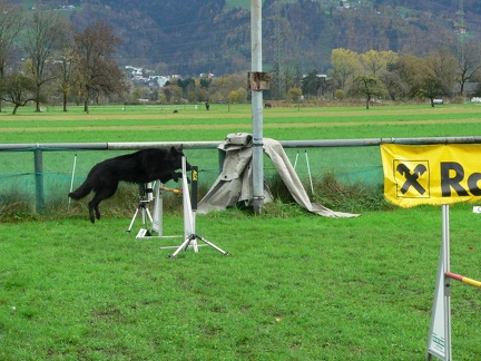 vm2013 0258