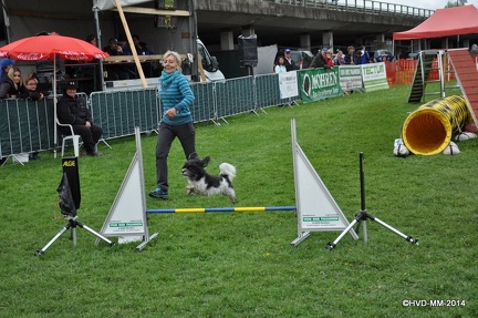 202-2.AgilityLaendlecup2014611