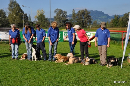 BGHLM2014 198