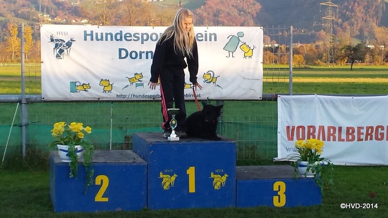 20141108_161541.jpg