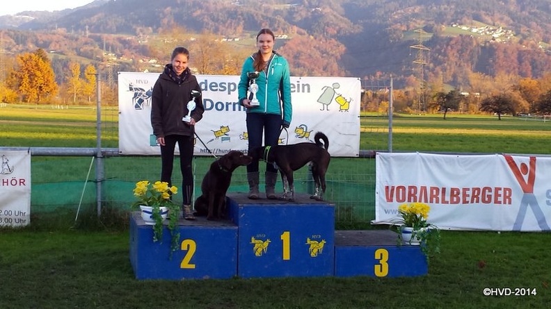 20141108_161714.jpg