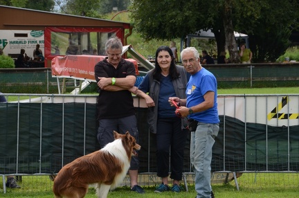Hunderennen2016-172