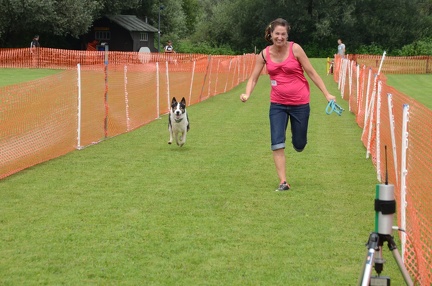 Hunderennen2016-202