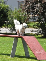 16-07-16 CdC Goetzis-1036