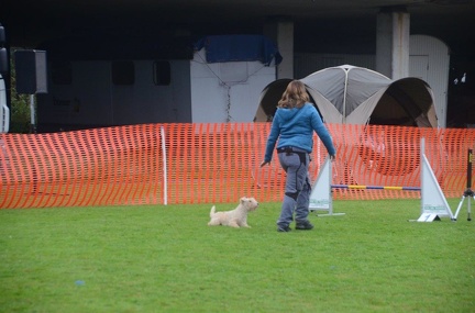 5-Agility-Laendle-Cup-008