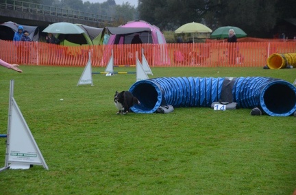 5-Agility-Laendle-Cup-025