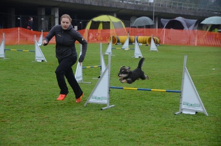 5-Agility-Laendle-Cup-030