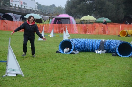5-Agility-Laendle-Cup-031