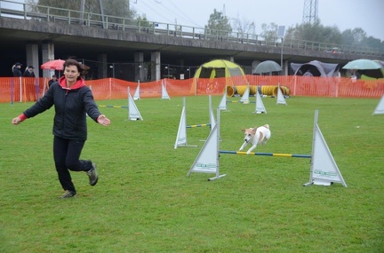 5-Agility-Laendle-Cup-033