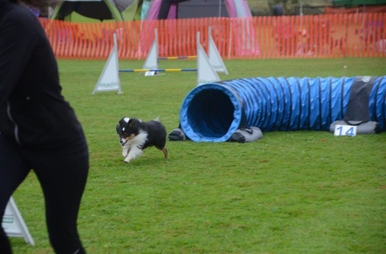 5-Agility-Laendle-Cup-043