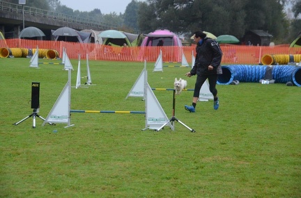 5-Agility-Laendle-Cup-045
