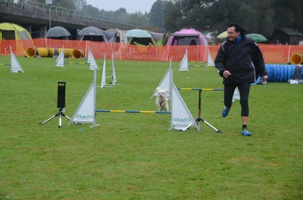 5-Agility-Laendle-Cup-046