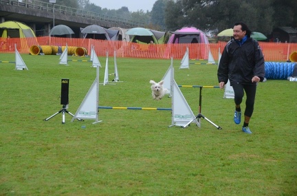 5-Agility-Laendle-Cup-047