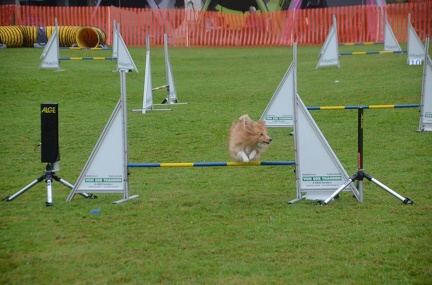 5-Agility-Laendle-Cup-049