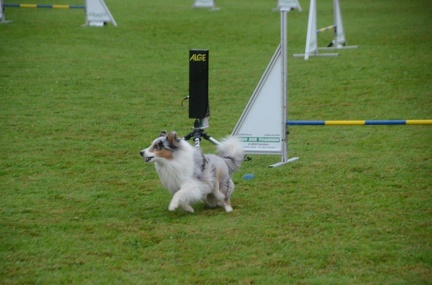5-Agility-Laendle-Cup-054