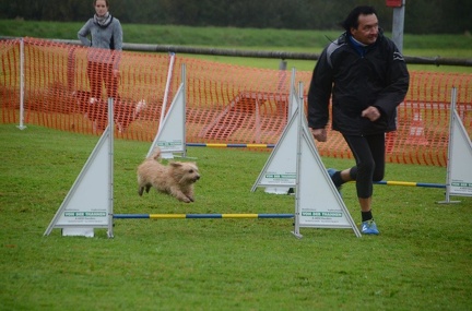 5-Agility-Laendle-Cup-074