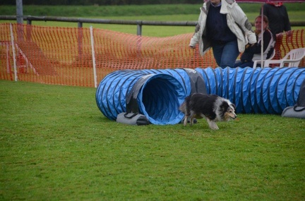 5-Agility-Laendle-Cup-080