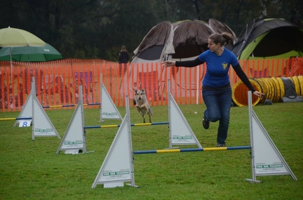 5-Agility-Laendle-Cup-085