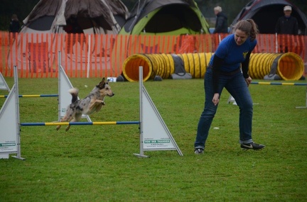 5-Agility-Laendle-Cup-087
