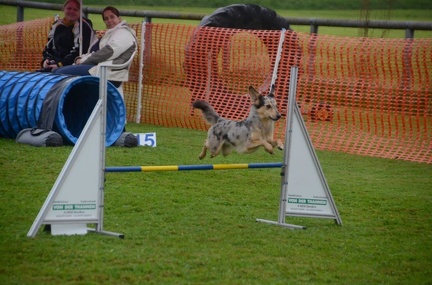 5-Agility-Laendle-Cup-089