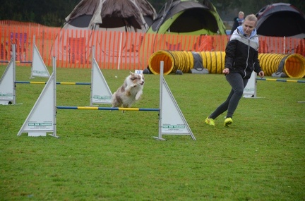 5-Agility-Laendle-Cup-091