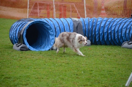 5-Agility-Laendle-Cup-092
