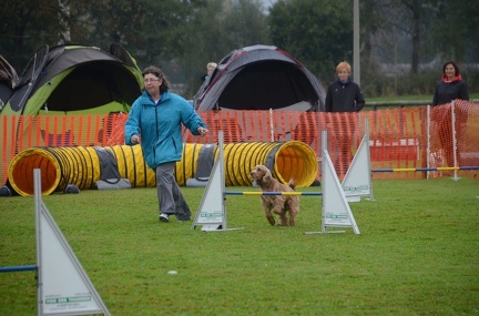 5-Agility-Laendle-Cup-093