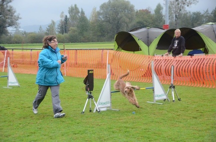 5-Agility-Laendle-Cup-098