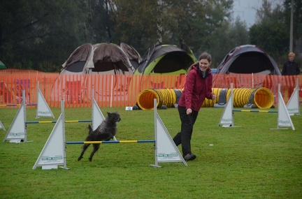 5-Agility-Laendle-Cup-100