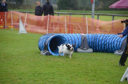 5-Agility-Laendle-Cup-107