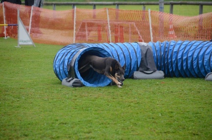 5-Agility-Laendle-Cup-113