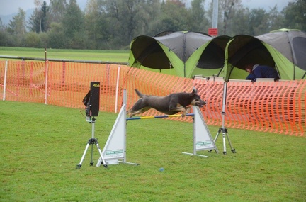 5-Agility-Laendle-Cup-115