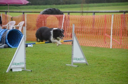 5-Agility-Laendle-Cup-116