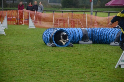 5-Agility-Laendle-Cup-122