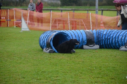 5-Agility-Laendle-Cup-130