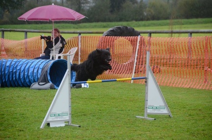 5-Agility-Laendle-Cup-131