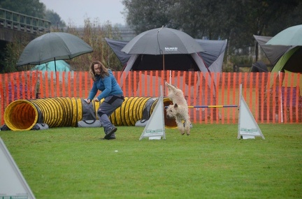 5-Agility-Laendle-Cup-136