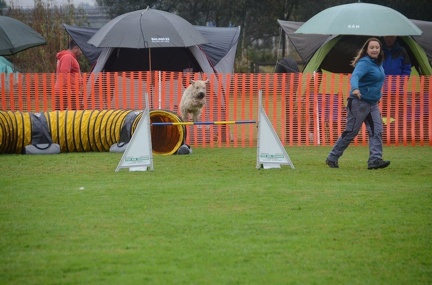 5-Agility-Laendle-Cup-137