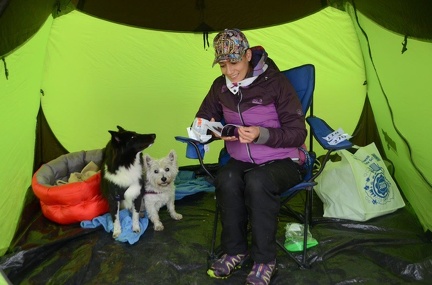 5-Agility-Laendle-Cup-173