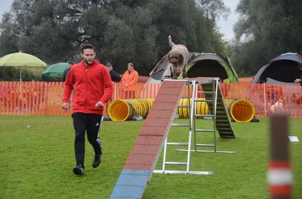 5-Agility-Laendle-Cup-174