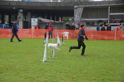 5-Agility-Laendle-Cup-217